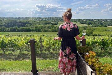 Sremski Karlovci Tour A Journey Through Vineyards and Winery