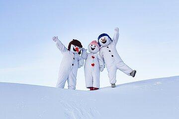 Entrance tickets to Snowman World