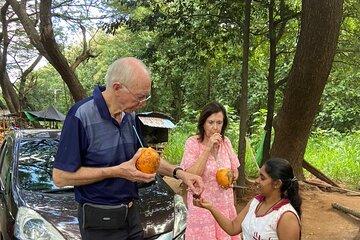 Kandy to Nuwaraeliya day trip with expert