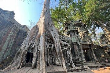 Private Angkor Wat Biking Tour at Sunrise