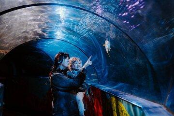 SEA LIFE Weymouth Admission Ticket