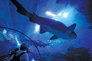 Kuala Lumpur Aquaria Ticket and Aquarium Experience