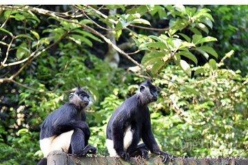 Cuc Phuong Biodiversity Trek Adventure