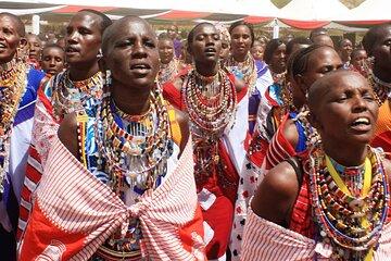 Animal Orphanage with Safari Walk and Bomas of Kenya Guided Tour