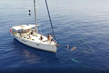 Private Marine Life Spotting - Dolphin watching EcoMarine Malta