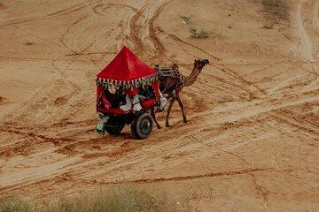 Pushkar City Tour With Camel Safari Lunch and Guide