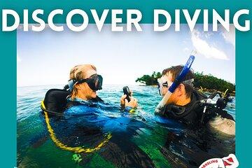 Discover Scuba Diving