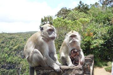 All inclusive PRIVATE South of Mauritius for SOLO TRAVELER