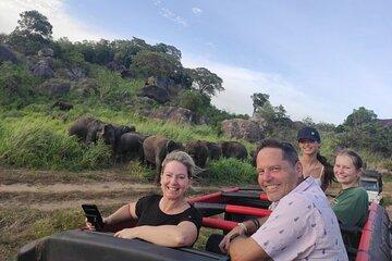 Sri Lanka Driver's and Guide with Luxury Cars