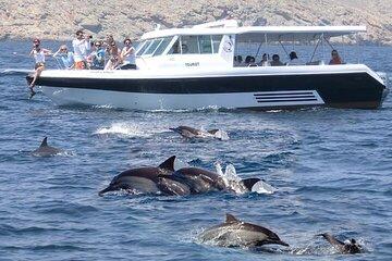Muscat Dolphin Watching and Coastal Sightseeing
