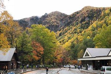 Sounkyo Gorge Autumn Leaves Ice Pavilion Day Tour by Private Car