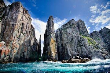 Southern Highlands & The Grand Pacific Drive-PVT Tour from Sydney