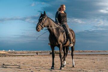 Desert Horseback Ride One Hour with Transfer - Marsa Alam