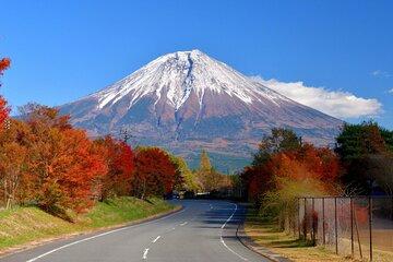 Mt. Fuji & Hakone Day Trip from Tokyo: Private English Driver