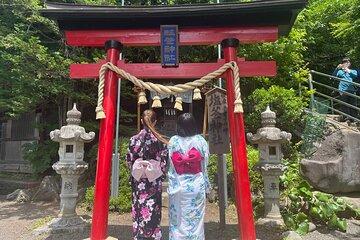Private Hakone Kimono costume Photo Tour with Hotel Pick-up