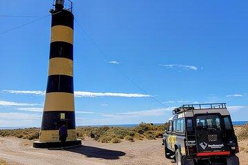 Experience 4x4 in Punta Ninfas