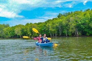 Half Day Mangrove Kayaking Adventure Tour From Koh Lanta