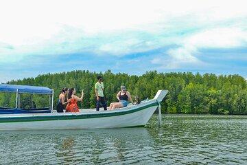 Koh Lanta Mangrove and Monkey Point Longtail Boat Tour