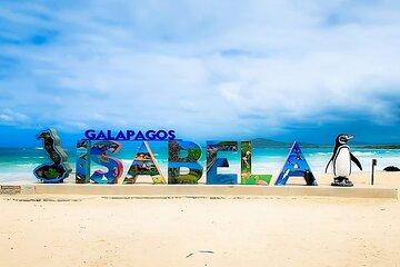 Explore the Natural Wonders of Isabela and Tintoreras Islet