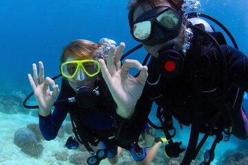 Marsa Mubarak Snorkeling Trip, 2 intro dive & Transfer–Marsa Alam