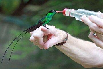 Private Rockland Bird Sanctuary Tour from Falmouth