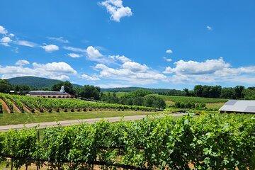 5 Hour Historic Thomas Jefferson Wine Tour