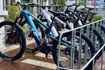 Tahiti excursion adventure circuit MTB MTB e bike private forest