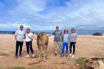 All Inclusive Tangier Private full Day Tour from Malaga /Marbella