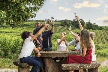 Alsace Classic Private Wine Tour from Strasbourg Area