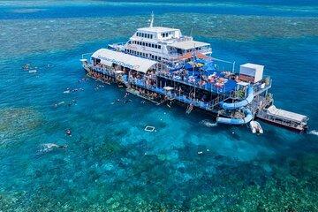 Moore Reef Day Tour with Dive from Cairns