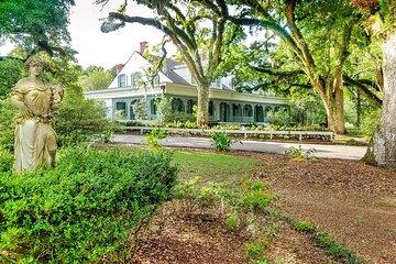 Myrtles Plantation Daytime Historical Tour