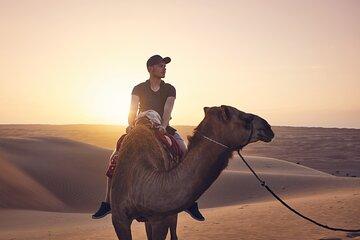 Enjoy 2 Hours Camel Ride With Sunset view & BBQ Dinner - Agadir