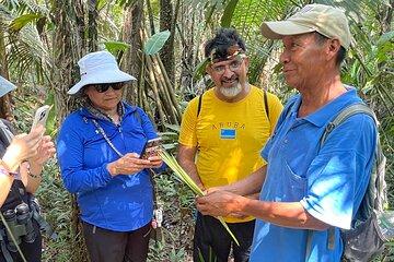 5 Day All-Inclusive Guided Jungle Tour from Iquitos
