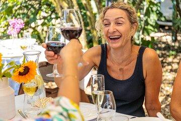 Vineyard Lunch and Wine Tasting Experience