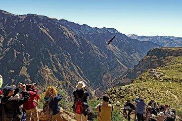 Package 2 days Puno Colca Arequipa Canyon
