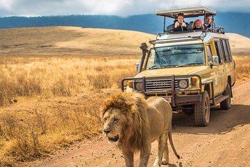 Half-Day Hluhluwe Imfolozi Private Tour from Richards Bay