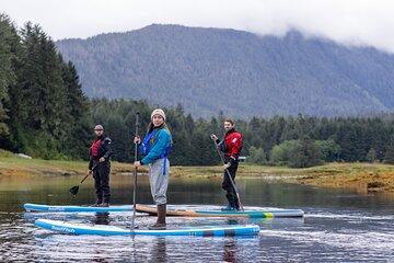 Private Dry Suit Paddle board tour in Juneau with Glacier views