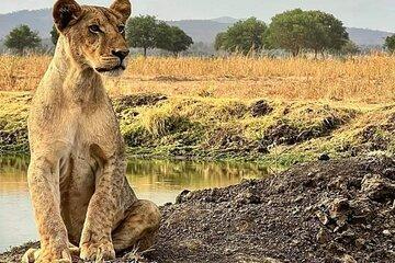 2 Day Adventure in Ruaha National Park