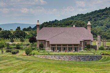 Charlottesville: Best Vineyards Private Tour (Up to 14 people)