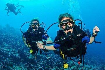 Coral Garden Sea Trip & Two dives With Transfer - Marsa Alam
