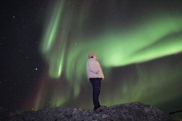 Yellowknife Aurora Hunting Tours by Bus