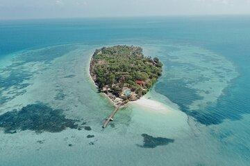 Prison Island Half Day Tour in Zanzibar