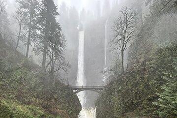 Multnomah Falls Tour with VIP Transportation