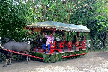 A Day in Paradise at Villa Escudero Coconut Plantation Adventure