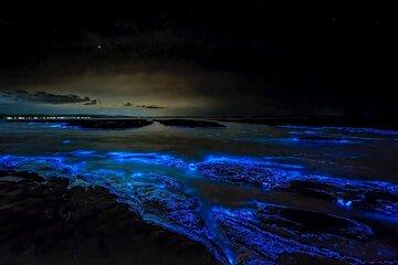 Cayman Bioluminescent Bay Night Tour