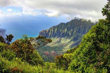 Kauai Island Private Guided Tour-Waimea Canyon from Lihue/Kapaa