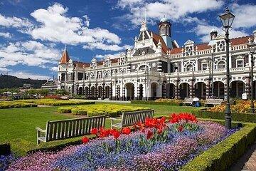 天际线 Private Dunedin City &Peninsula Scenery Day Tour ( up to 4 )