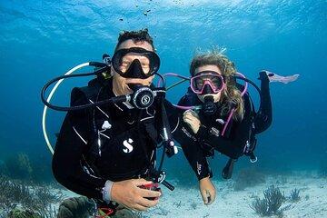guided Shore Diving in Bonaire Marine Park with 2 Dives