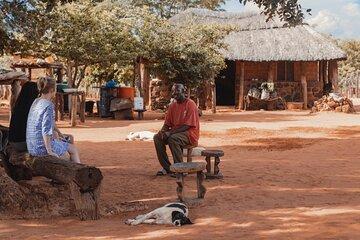 Small Group Cultural Village Tour of Zimbabwe