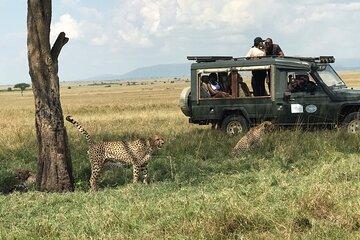 Three Day Maasai Mara Budget Excursion